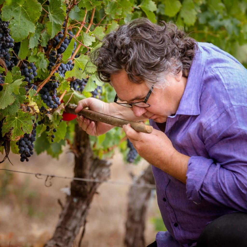 Margaret River Soil and Climate