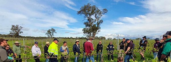 AWRI Advanced Viticulture Course – Victoria