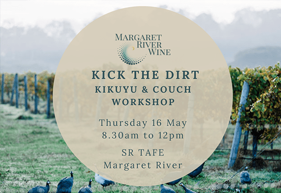 Kick the Dirt – Kikuyu & Couch Workshop