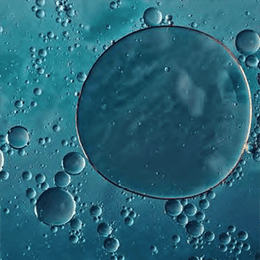 DPIRD: Unravelling the Mysteries of Wild Ferments