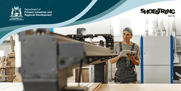 Unlock Your Business’s Digital Potential with Shoestring Solutions