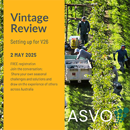 ASVO Reflections on V25 and Setting up for V26