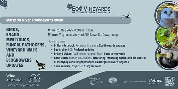 EcoVineyards: Birds, snails, vineyard walk and EcoGrower updates