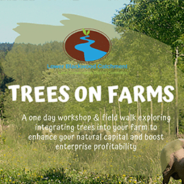 Lower Blackwood LCDC Trees on Farms Workshop & Field Walk