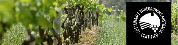 Sustainable Winegrowing Australia Certification Online Workshop