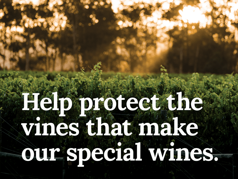 Biosecurity Workshops for Vineyard Managers, Cellar Door Managers & Vignerons