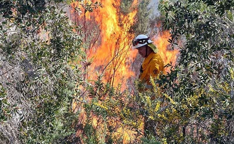 DBCA Prescribed Burns Updates