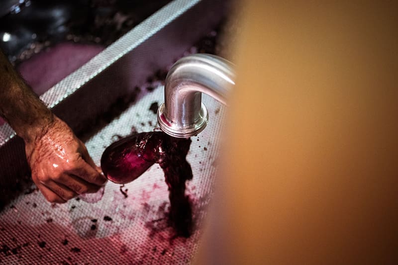 Margaret River Wine Region Cabernet Tasting