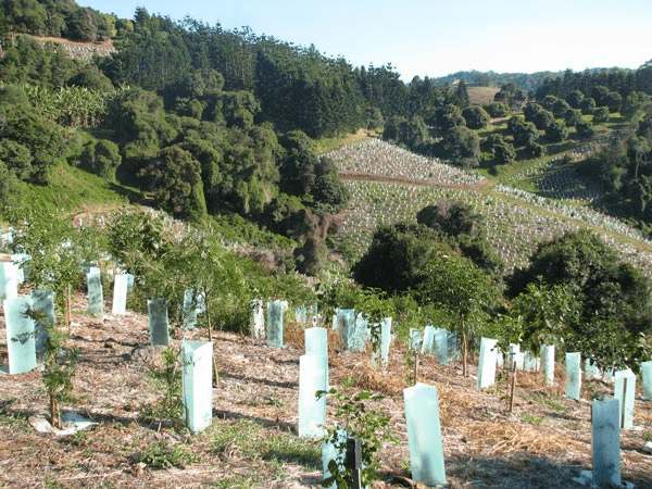 Opportunity for South West Farmers to be Recognised & Rewarded for Environmental Stewardship