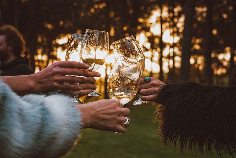 FINE VINES FESTIVAL – Get Involved