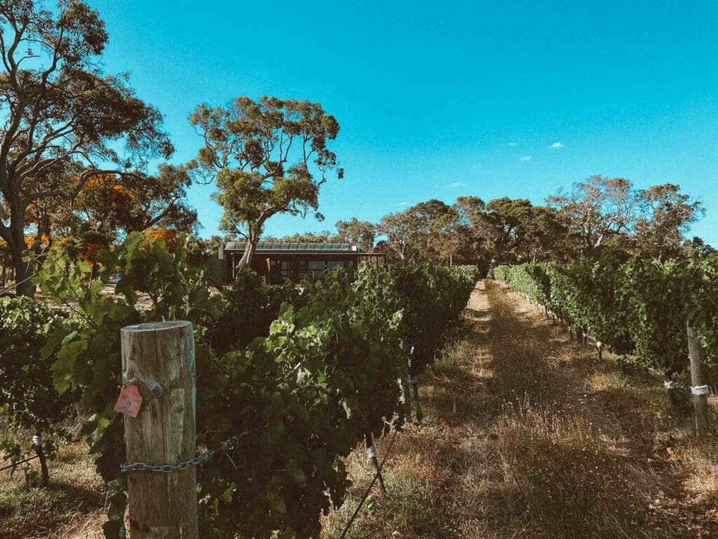 Spring into Fine Vines Festival