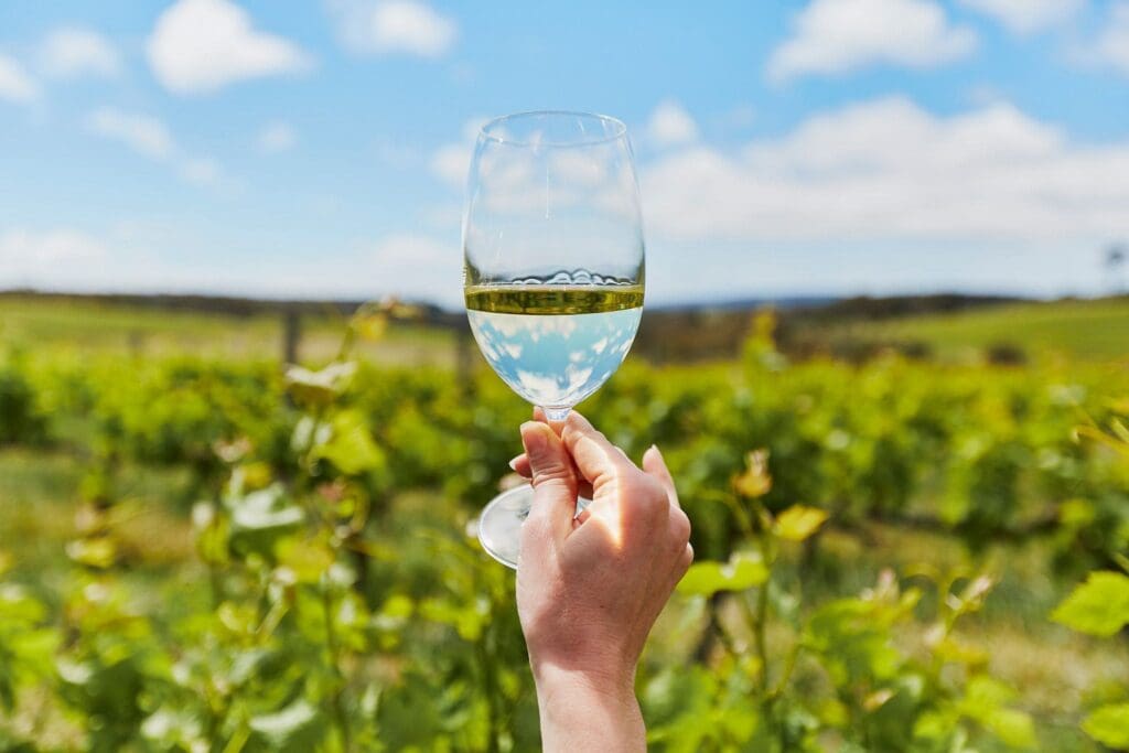 A New In-Region Wine Event