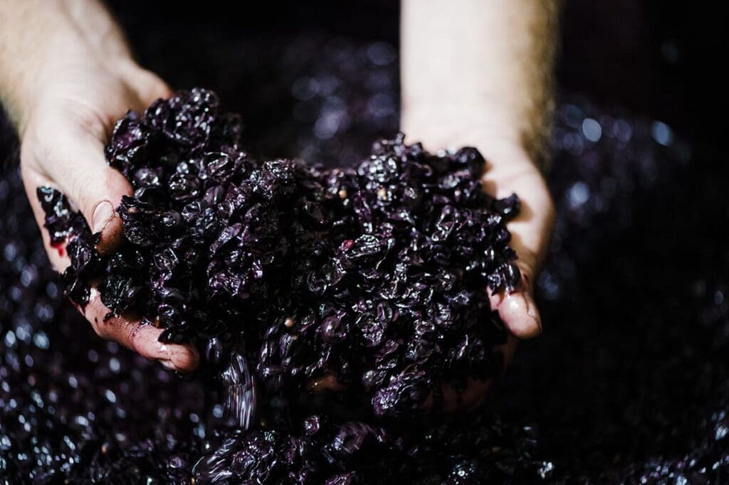 Margaret River Winemaking