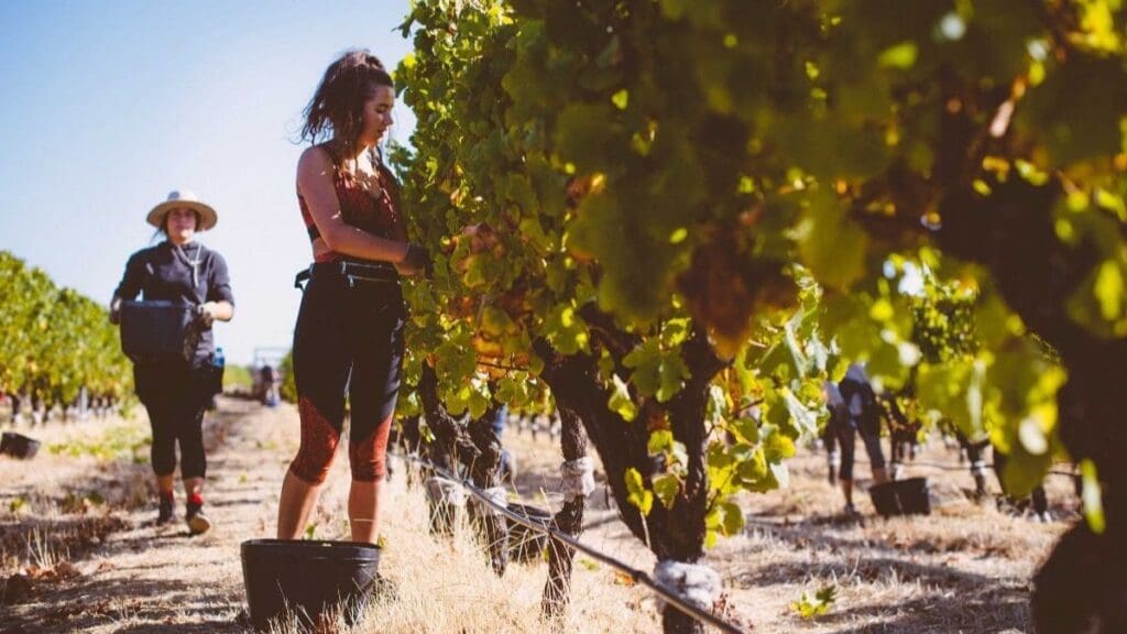 Industry Bodies Respond to Housing Availability Crisis for Seasonal Workers