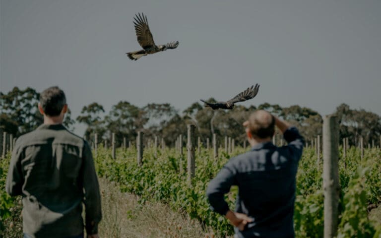 Sustainability & Environment