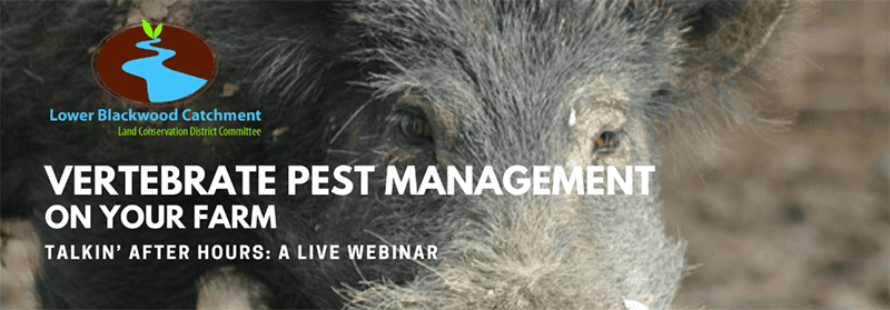 Vertebrate Pest Management On Your Farm – A Live Webinar