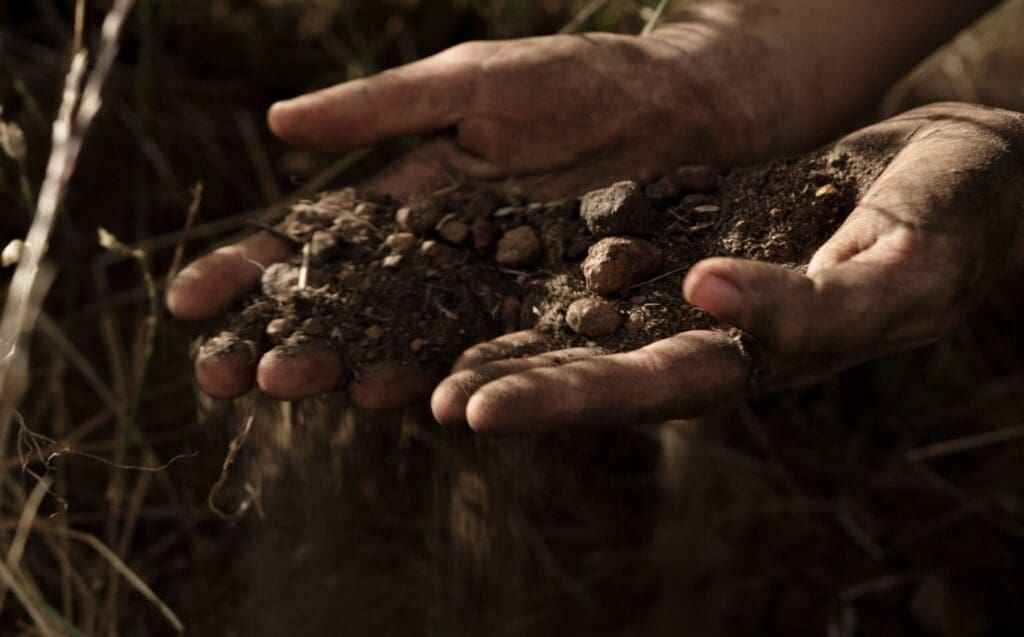 An Australian leader  in Sustainable Winegrowing