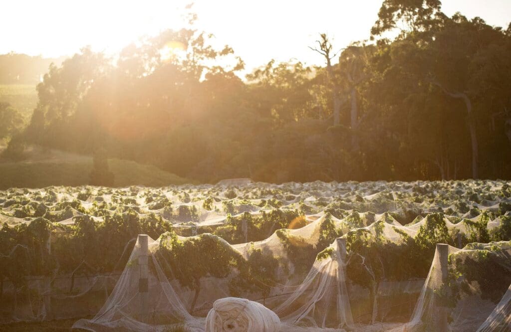 A Late Start to Harvest in 2019