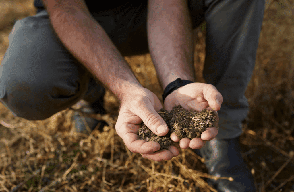 What’s the dirt on Margaret River?