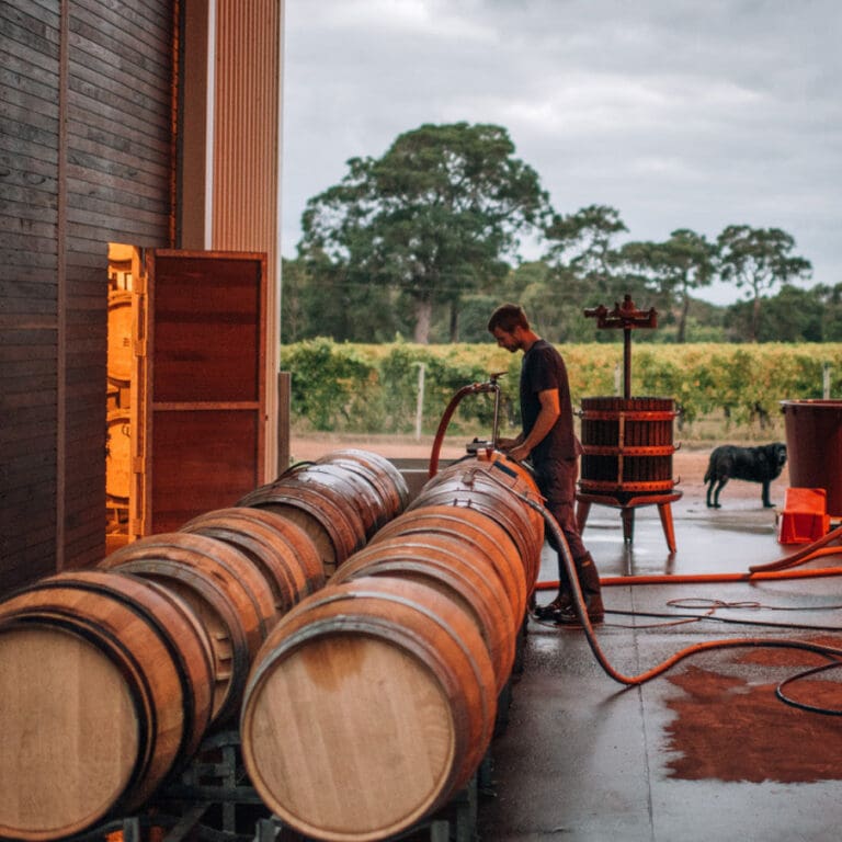 Grape Growing & Winemaking