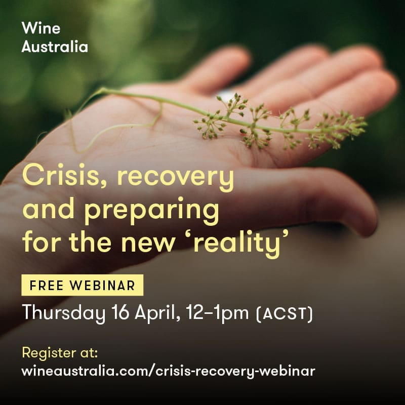 Webinar recording: ‘Crisis, recovery and preparing for the new reality’