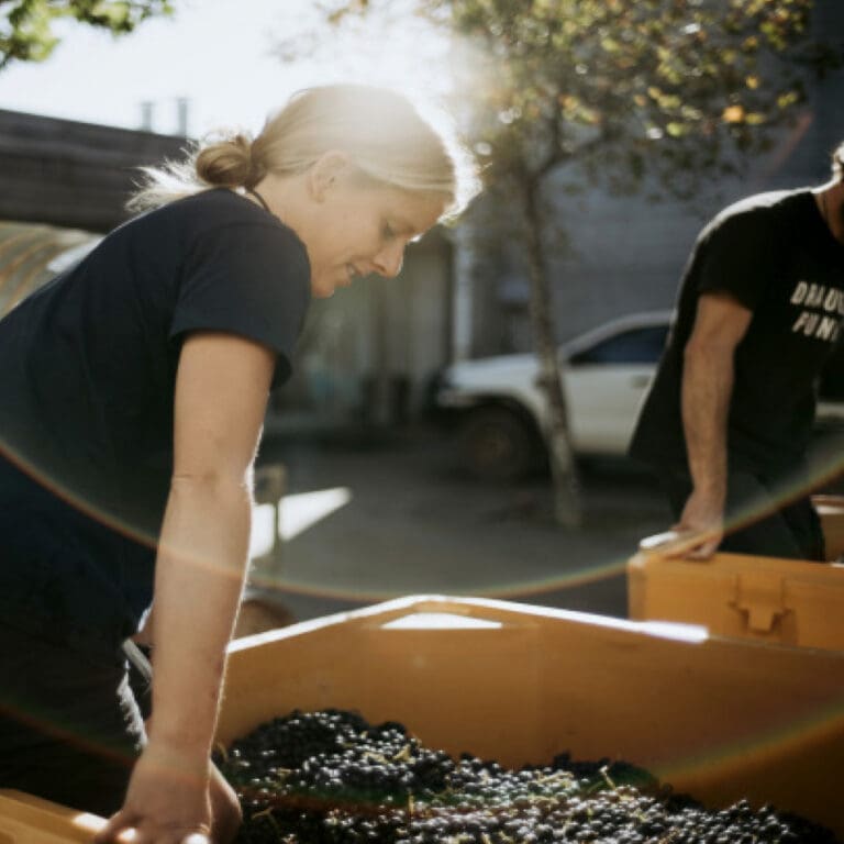 Work In Margaret River