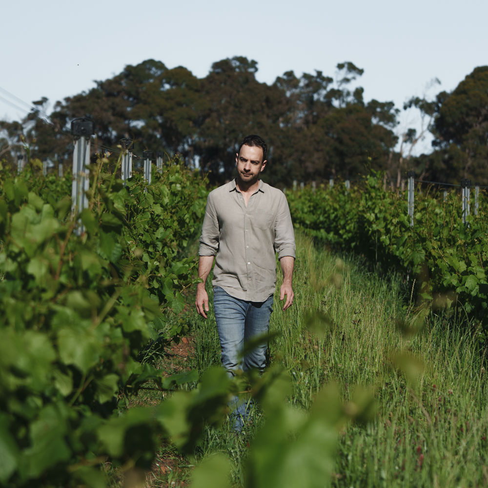 Meet the Maker: Andrew Trio of Wayfinder