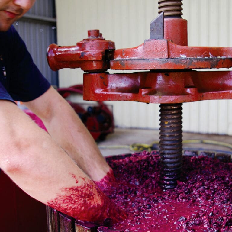 Discover the Wineries