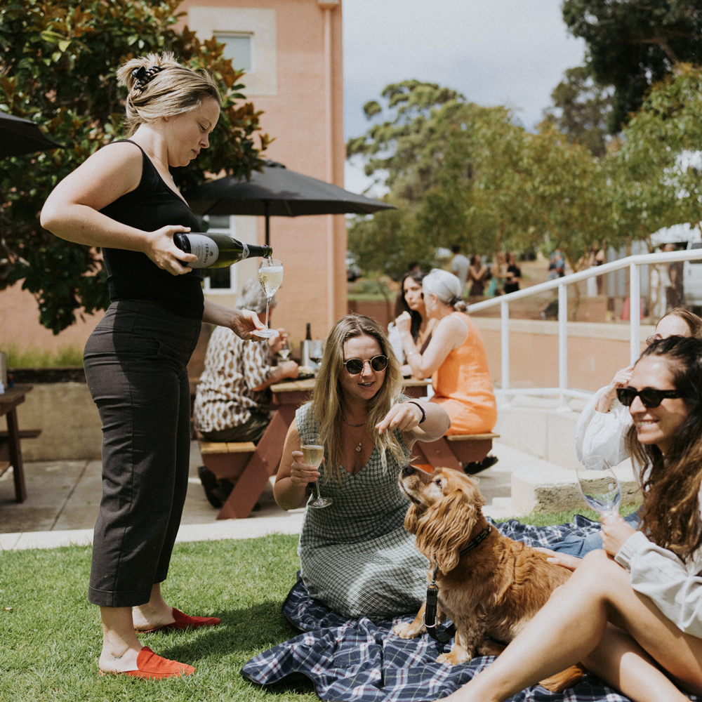 Dog Friendly Wineries to Visit in Margaret River